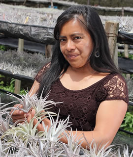People in AirPlant Farm